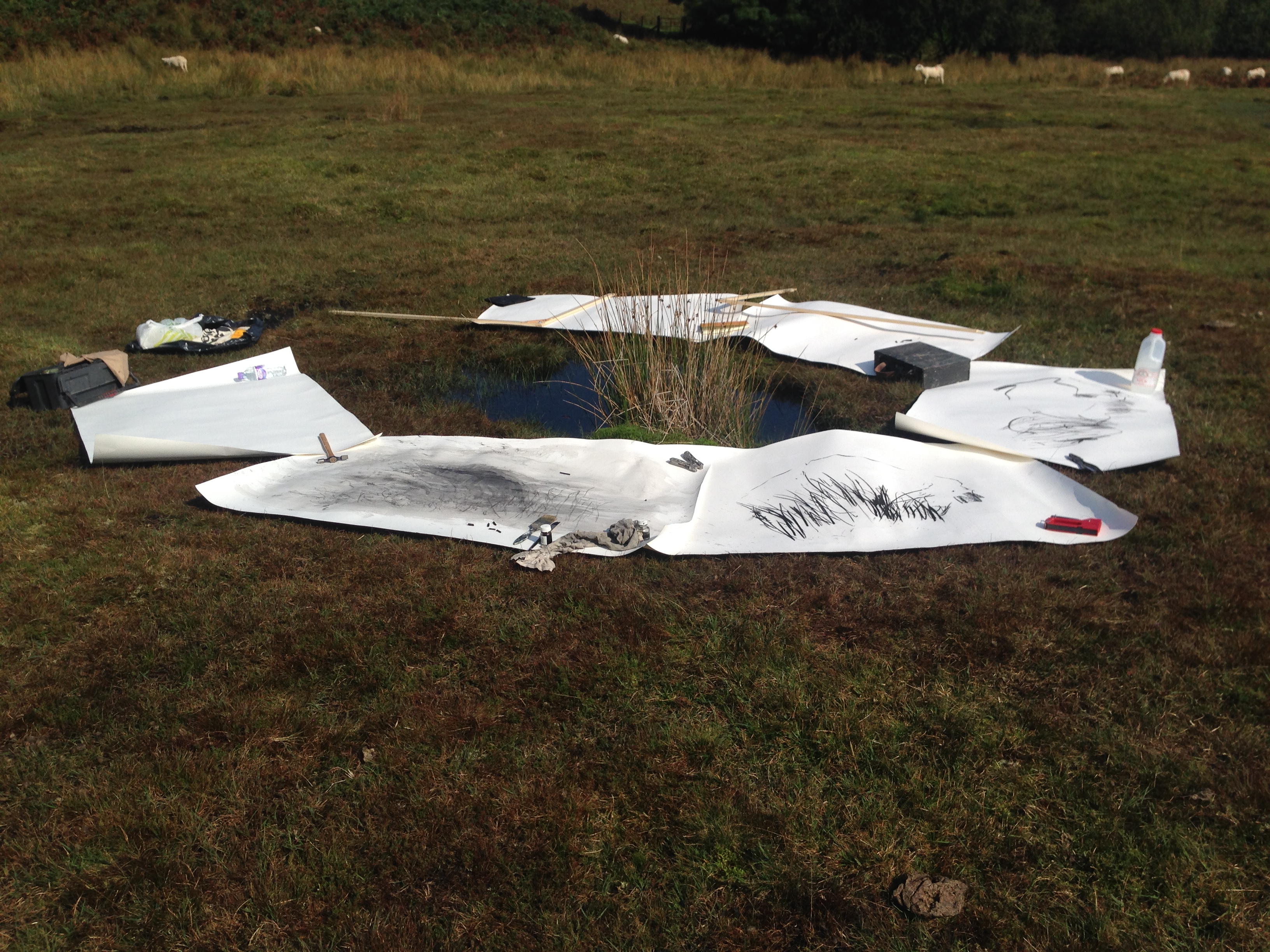 Drawing around Black Pond on Waun Ddu