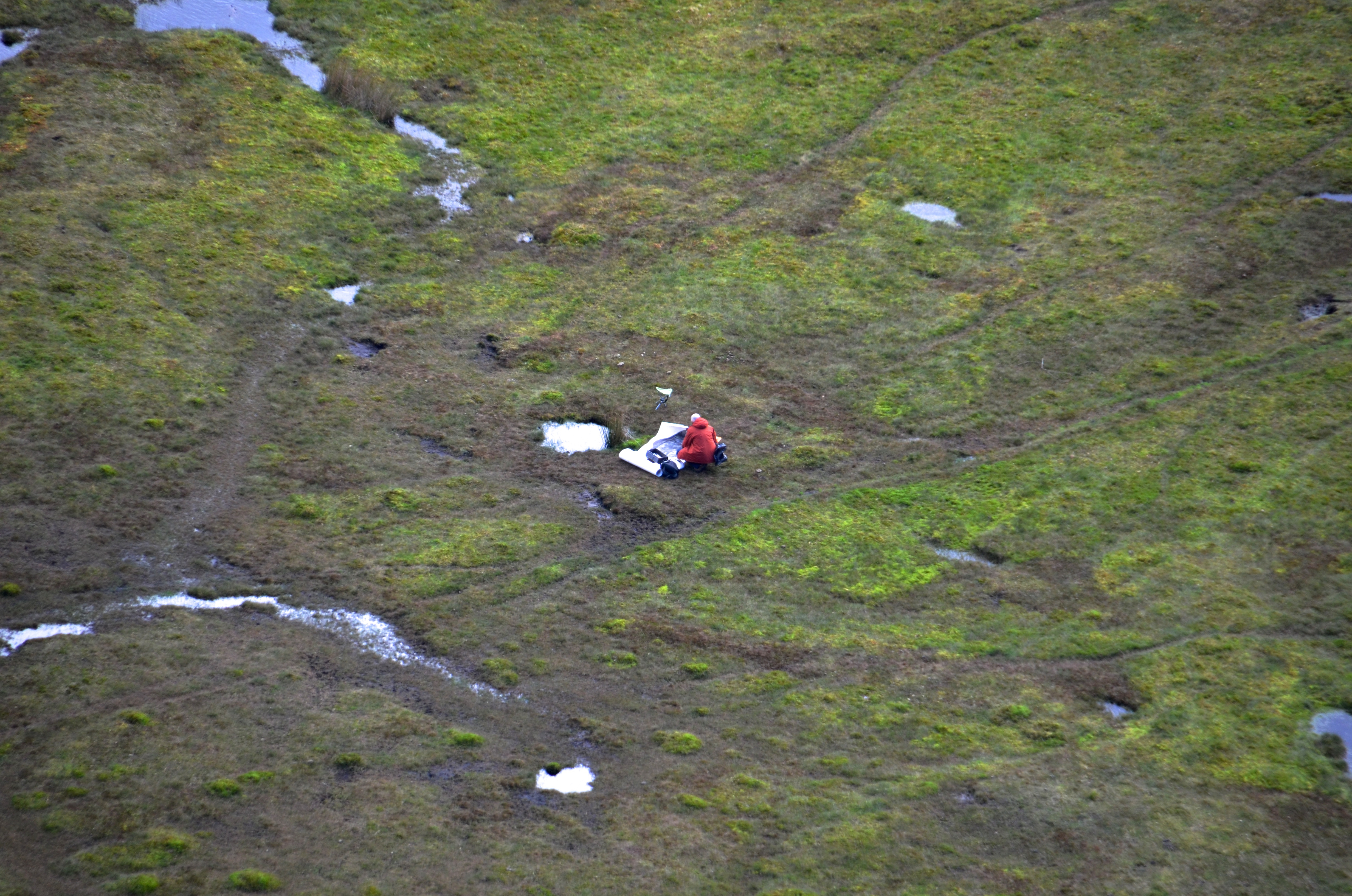 3. Begining work on first sheet.